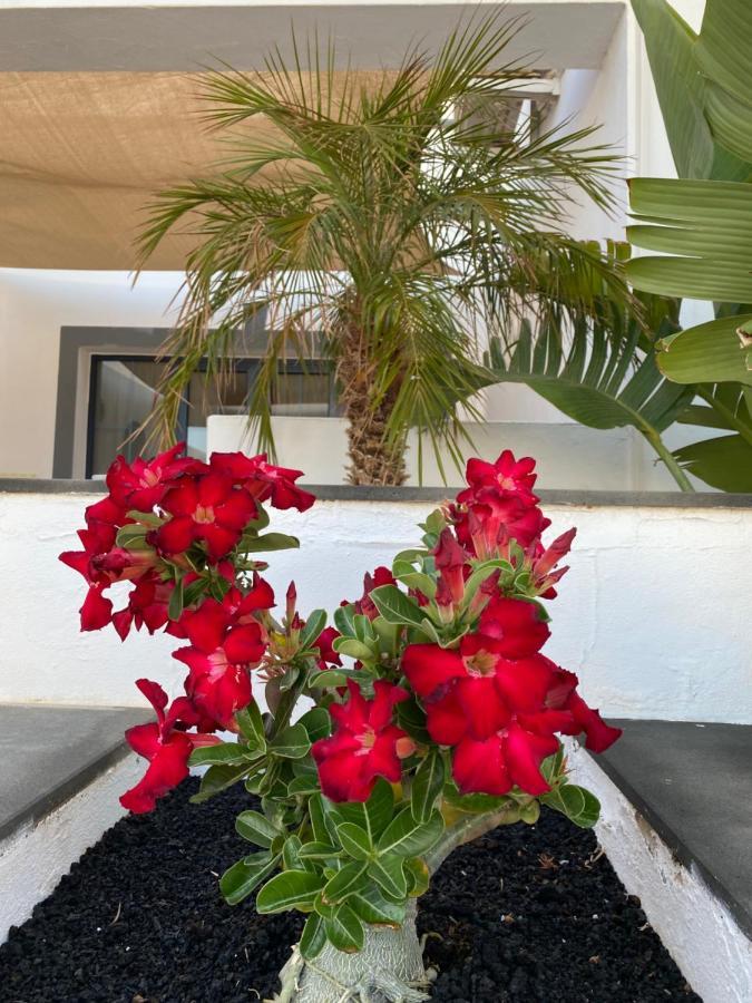 Casa Delfin Playa Blanca Villa Eksteriør bilde
